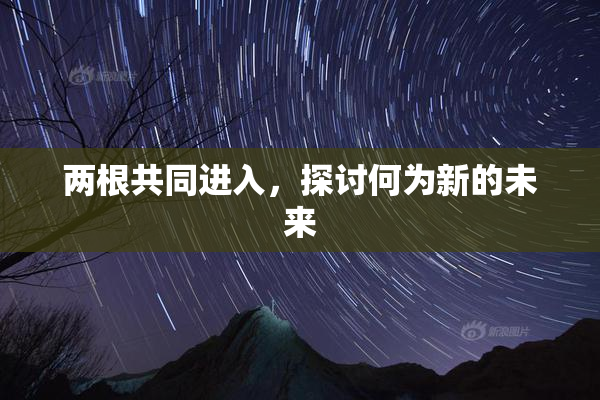 两根共同进入，探讨何为新的未来