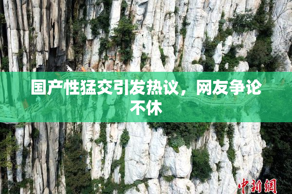 国产性猛交引发热议，网友争论不休