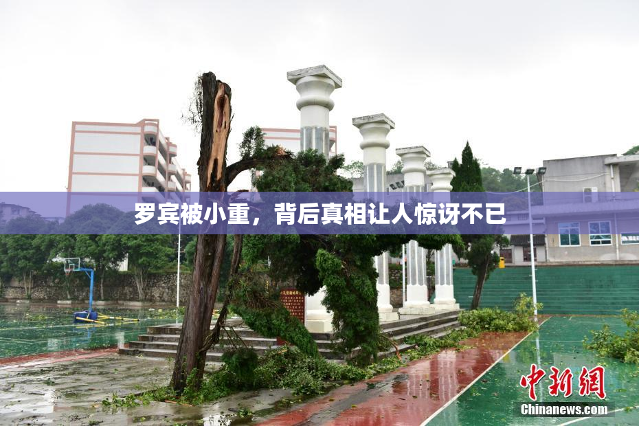 罗宾被小重，背后真相让人惊讶不已
