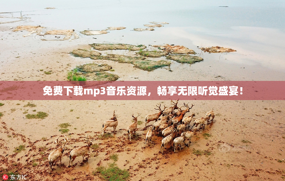 免费下载mp3音乐资源，畅享无限听觉盛宴！