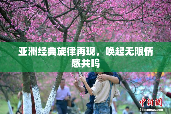 亚洲经典旋律再现，唤起无限情感共鸣