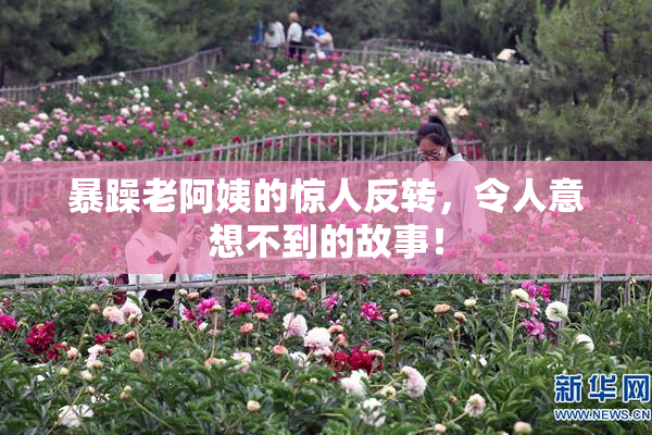 暴躁老阿姨的惊人反转，令人意想不到的故事！