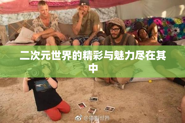 二次元世界的精彩与魅力尽在其中