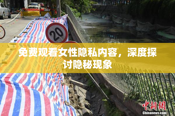 免费观看女性隐私内容，深度探讨隐秘现象