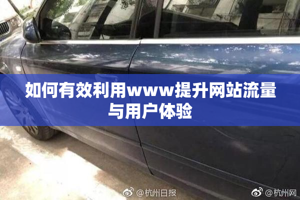 如何有效利用www提升网站流量与用户体验
