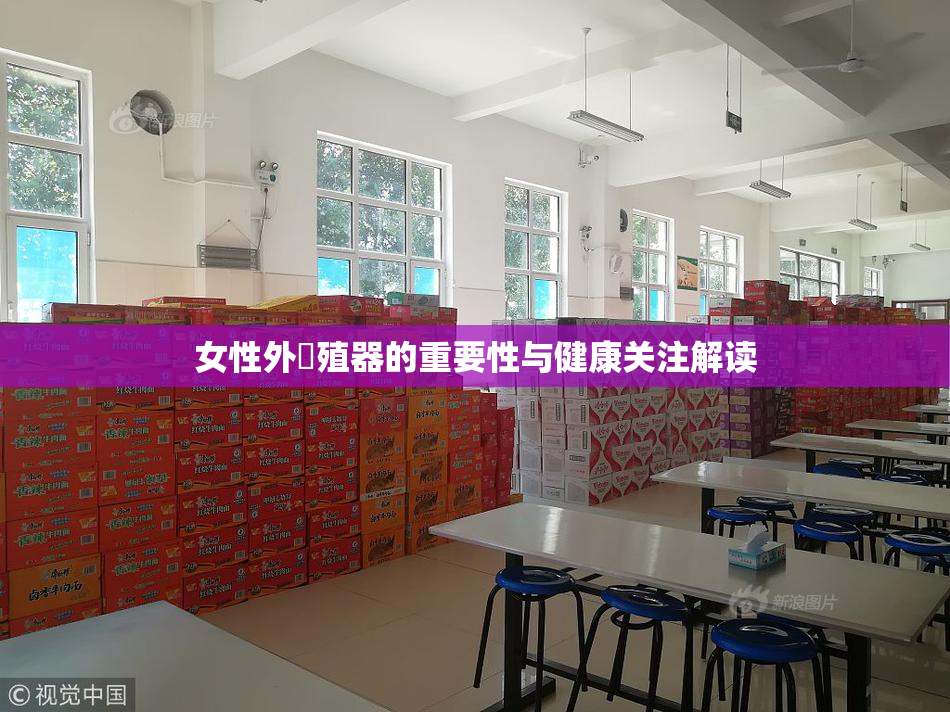 女性外夝殖器的重要性与健康关注解读