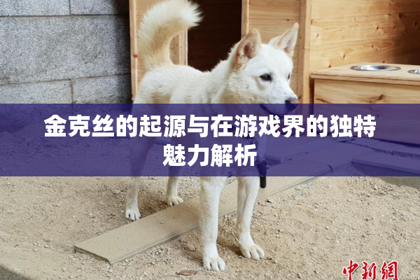 金克丝的起源与在游戏界的独特魅力解析