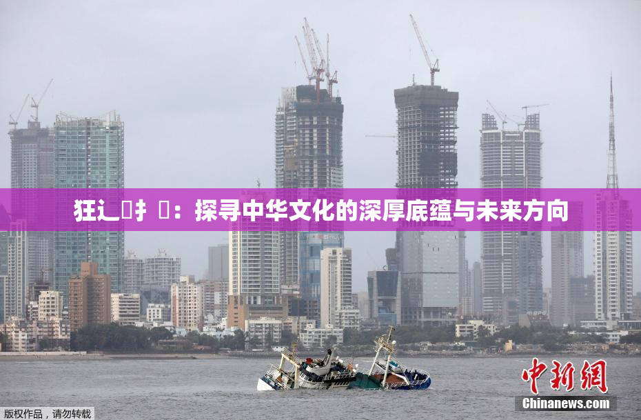 狂辶喿扌畐：探寻中华文化的深厚底蕴与未来方向