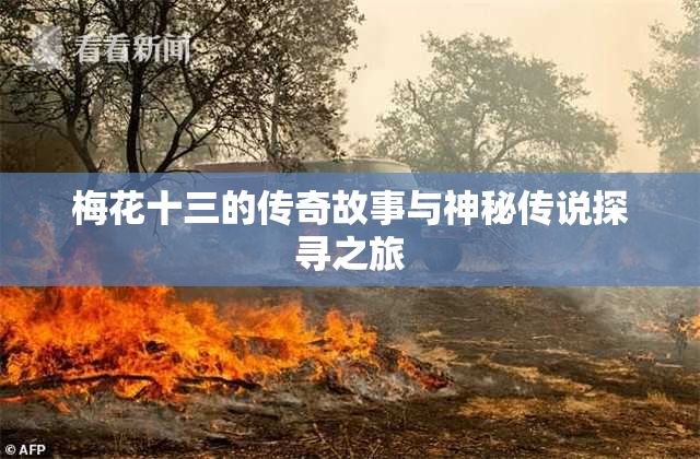 梅花十三的传奇故事与神秘传说探寻之旅