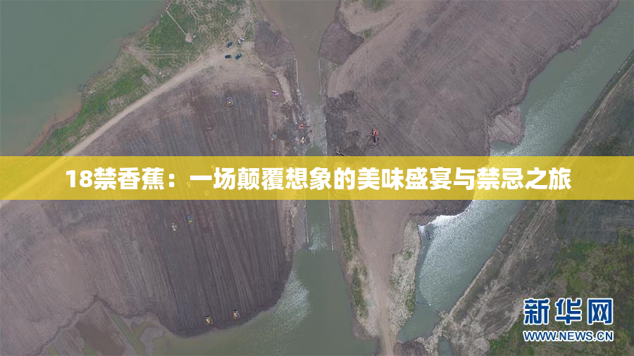 18禁香蕉：一场颠覆想象的美味盛宴与禁忌之旅