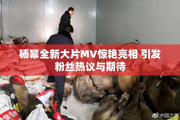 杨幂全新大片MV惊艳亮相 引发粉丝热议与期待