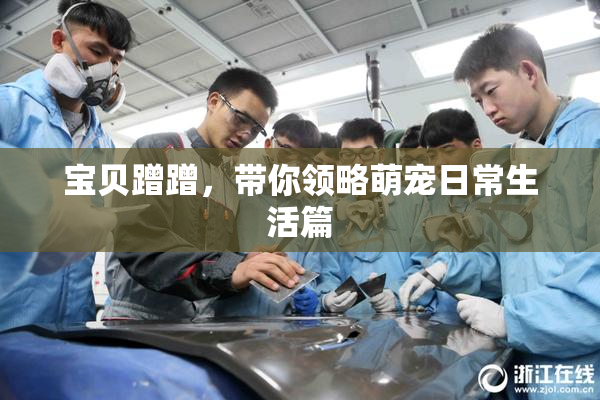宝贝蹭蹭，带你领略萌宠日常生活篇