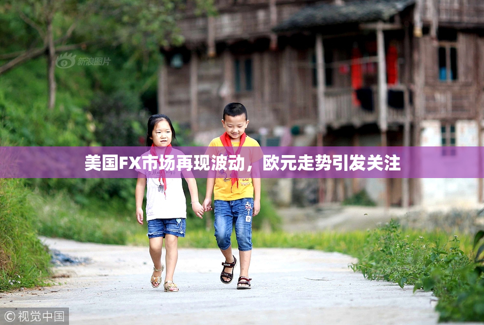 美国FX市场再现波动，欧元走势引发关注