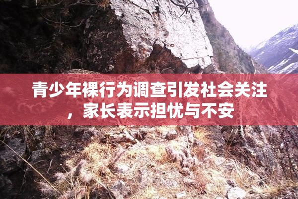 青少年裸行为调查引发社会关注，家长表示担忧与不安