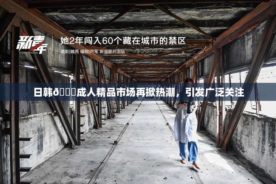 日韩🔞成人精品市场再掀热潮，引发广泛关注