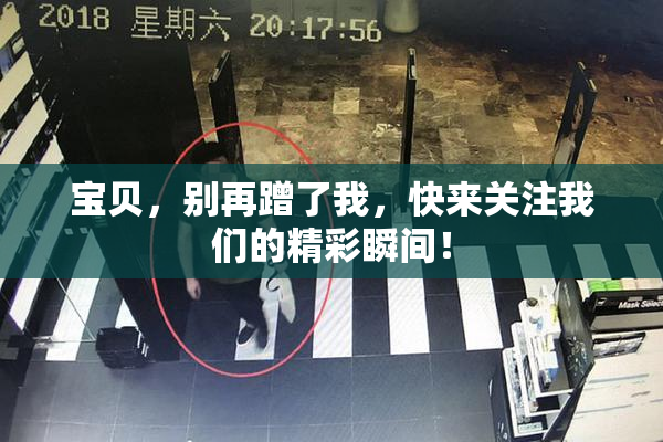 宝贝，别再蹭了我，快来关注我们的精彩瞬间！