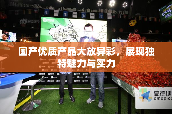 国产优质产品大放异彩，展现独特魅力与实力
