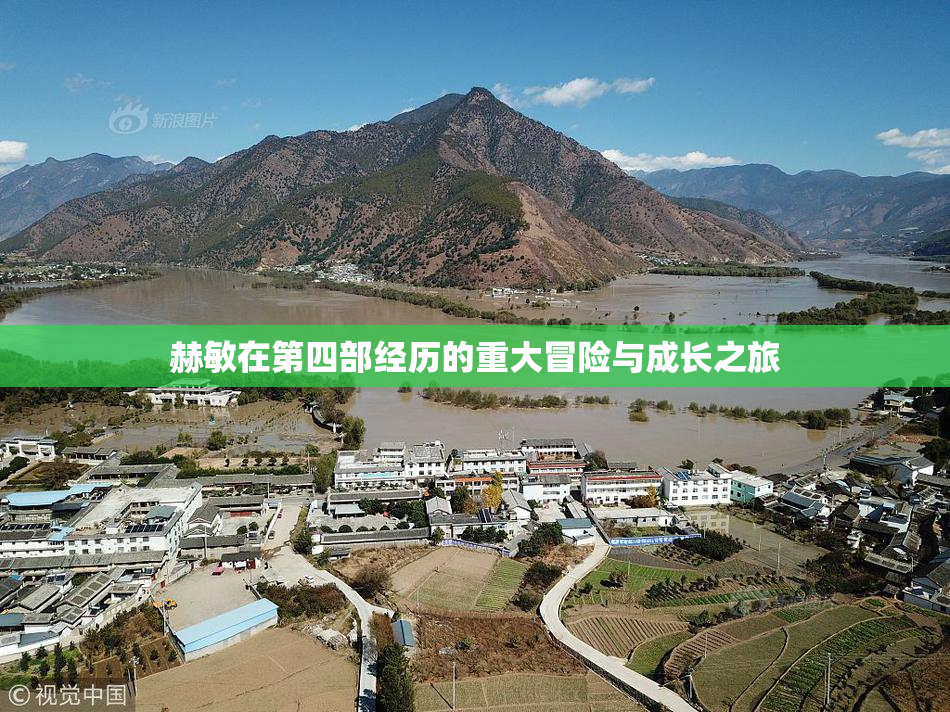 赫敏在第四部经历的重大冒险与成长之旅
