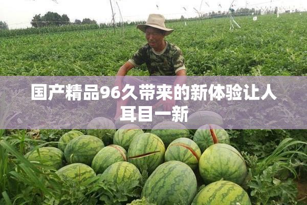 国产精品96久带来的新体验让人耳目一新