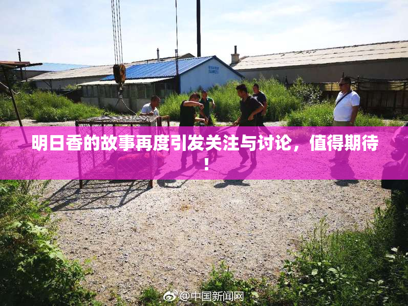 明日香的故事再度引发关注与讨论，值得期待！