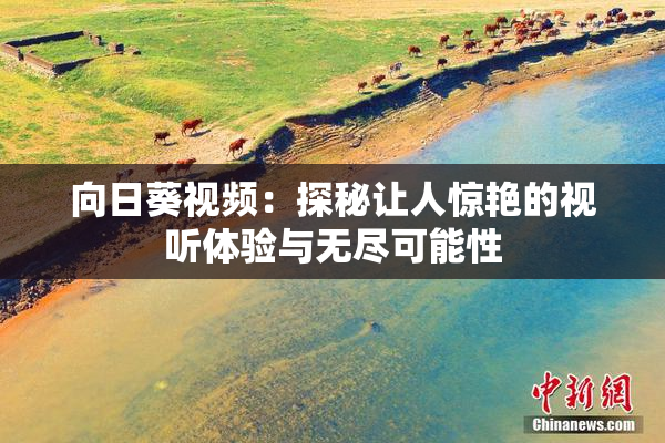 向日葵视频：探秘让人惊艳的视听体验与无尽可能性