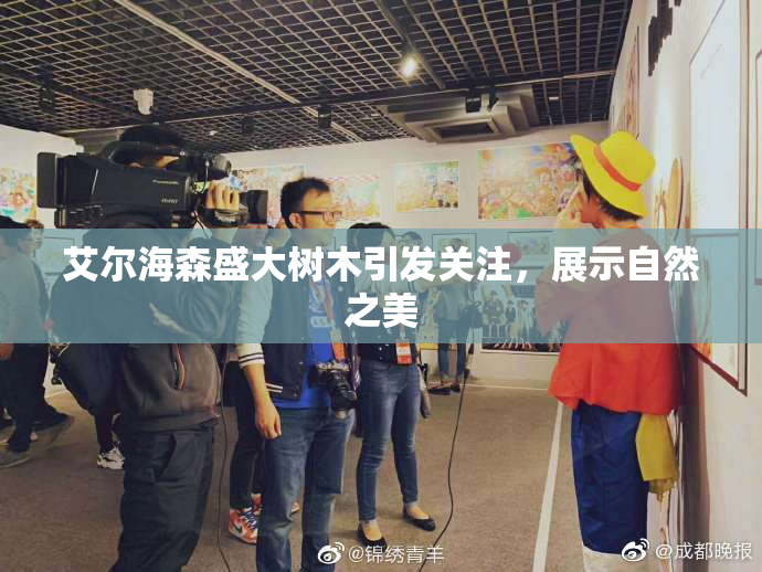 艾尔海森盛大树木引发关注，展示自然之美