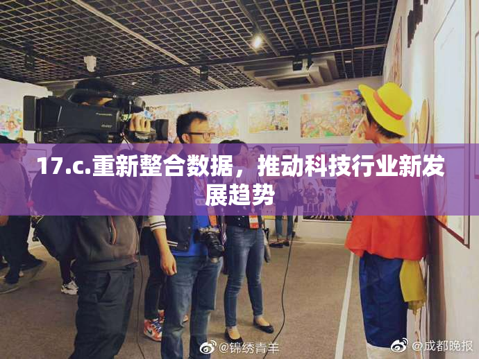 17.c.重新整合数据，推动科技行业新发展趋势