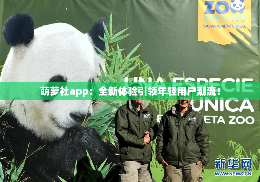 萌萝社app：全新体验引领年轻用户潮流！