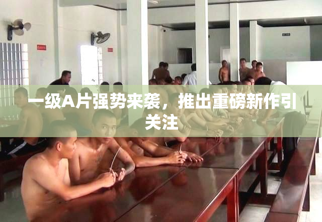 一级A片强势来袭，推出重磅新作引关注