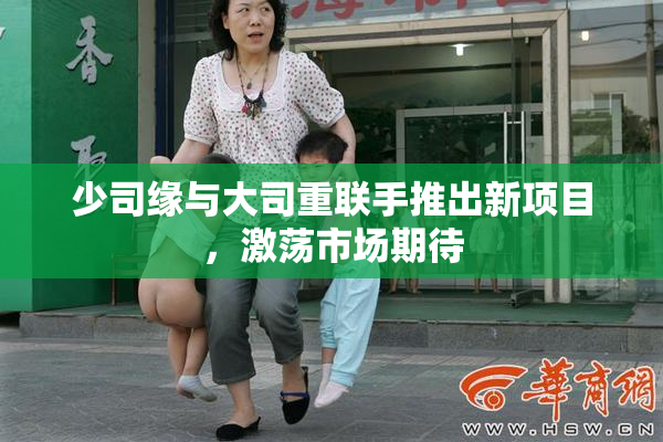 少司缘与大司重联手推出新项目，激荡市场期待