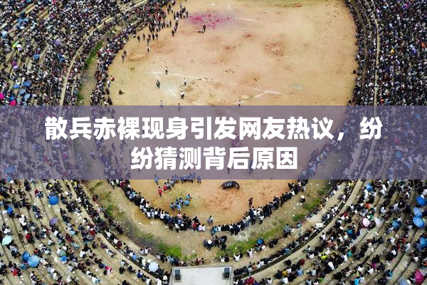 散兵赤裸现身引发网友热议，纷纷猜测背后原因