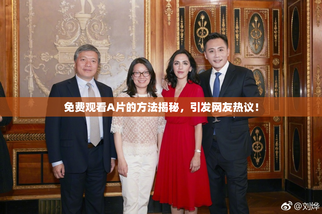 免费观看A片的方法揭秘，引发网友热议！