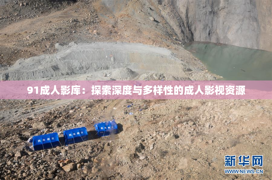 91成人影库：探索深度与多样性的成人影视资源
