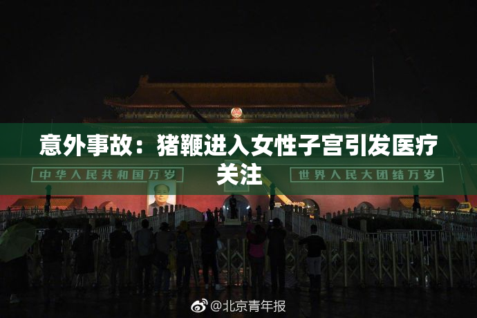 意外事故：猪鞭进入女性子宫引发医疗关注