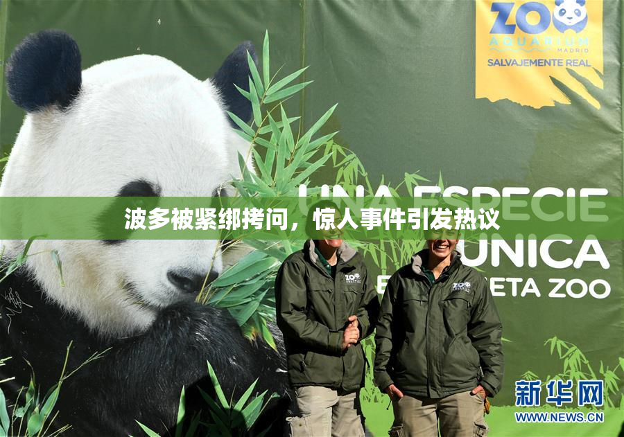 波多被紧绑拷问，惊人事件引发热议