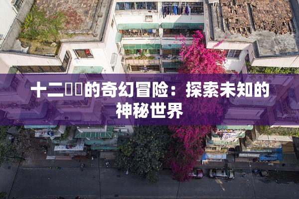 十二妺妺的奇幻冒险：探索未知的神秘世界