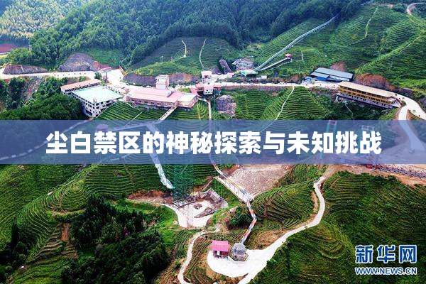 尘白禁区的神秘探索与未知挑战