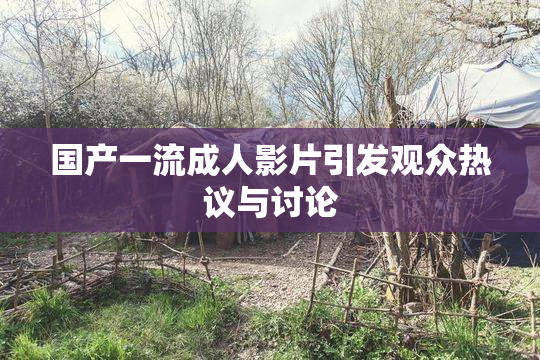 国产一流成人影片引发观众热议与讨论