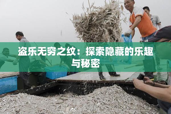 盗乐无穷之纹：探索隐藏的乐趣与秘密