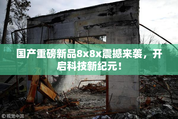 国产重磅新品8x8x震撼来袭，开启科技新纪元！