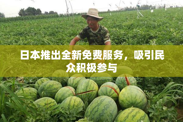 日本推出全新免费服务，吸引民众积极参与