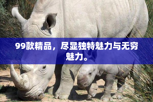 99款精品，尽显独特魅力与无穷魅力。
