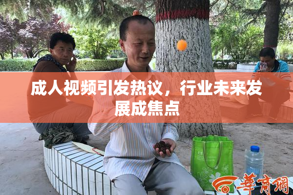 成人视频引发热议，行业未来发展成焦点