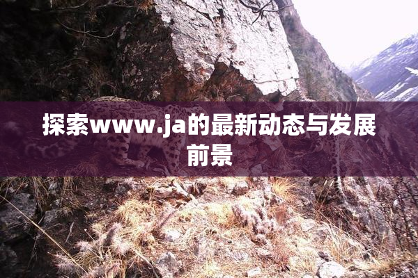 探索www.ja的最新动态与发展前景