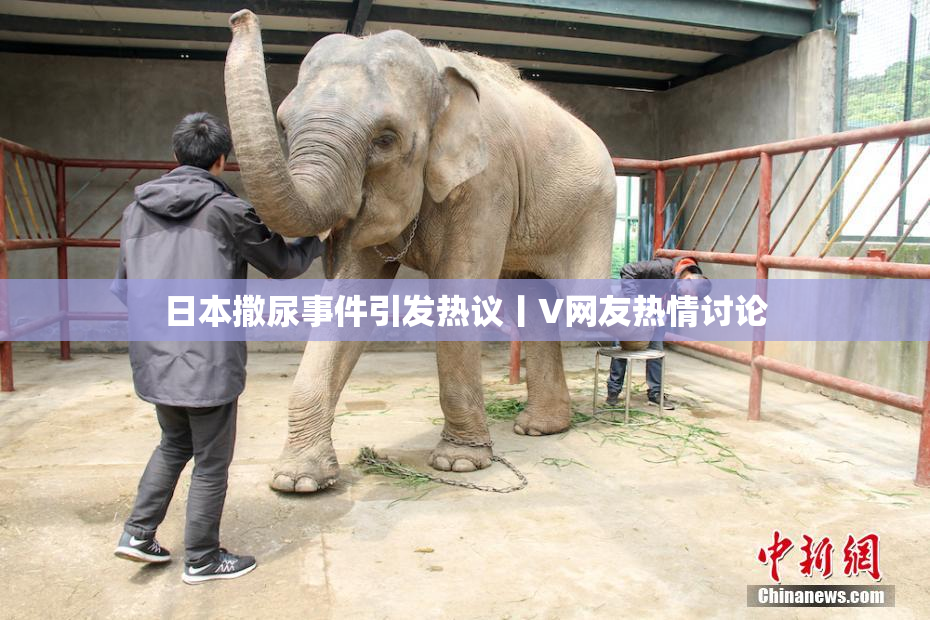 日本撒尿事件引发热议丨V网友热情讨论