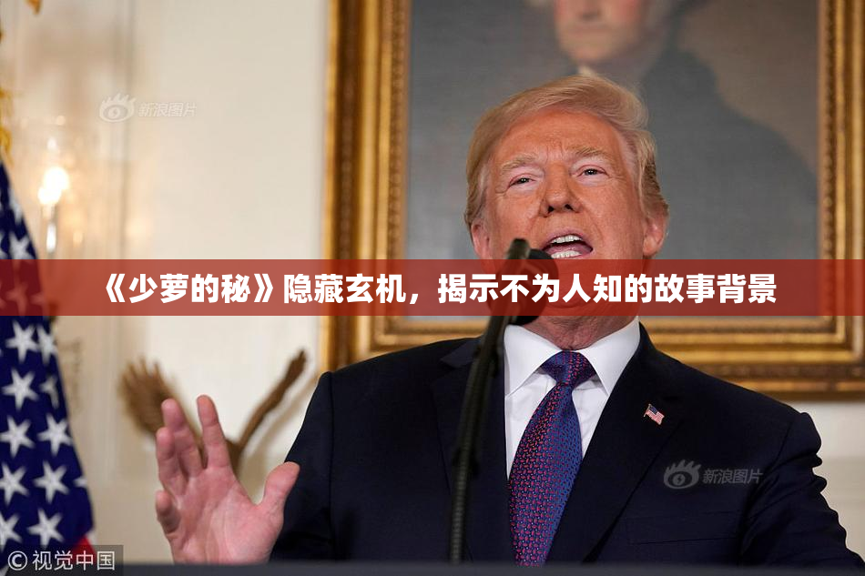 《少萝的秘》隐藏玄机，揭示不为人知的故事背景