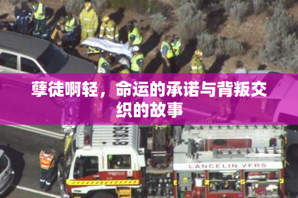 孽徒啊轻，命运的承诺与背叛交织的故事