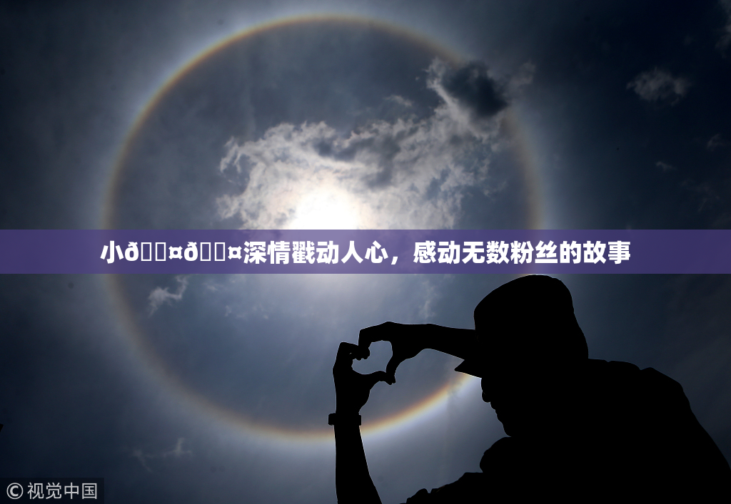 小🐤🐤深情戳动人心，感动无数粉丝的故事
