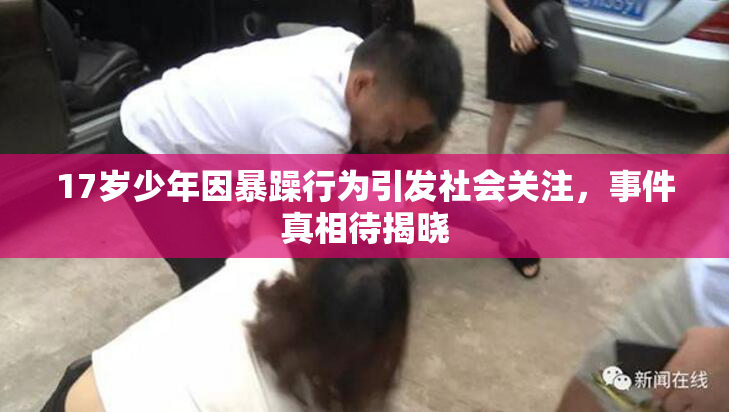 17岁少年因暴躁行为引发社会关注，事件真相待揭晓
