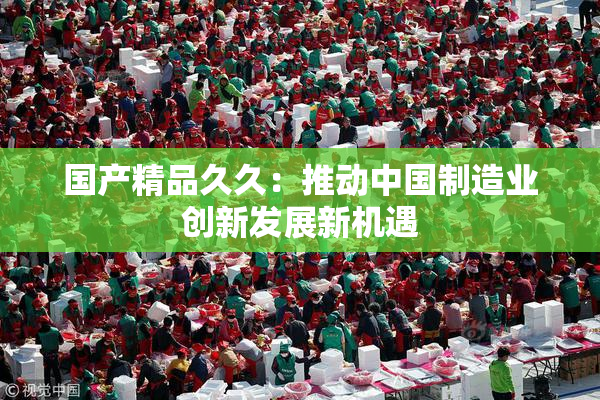 国产精品久久：推动中国制造业创新发展新机遇